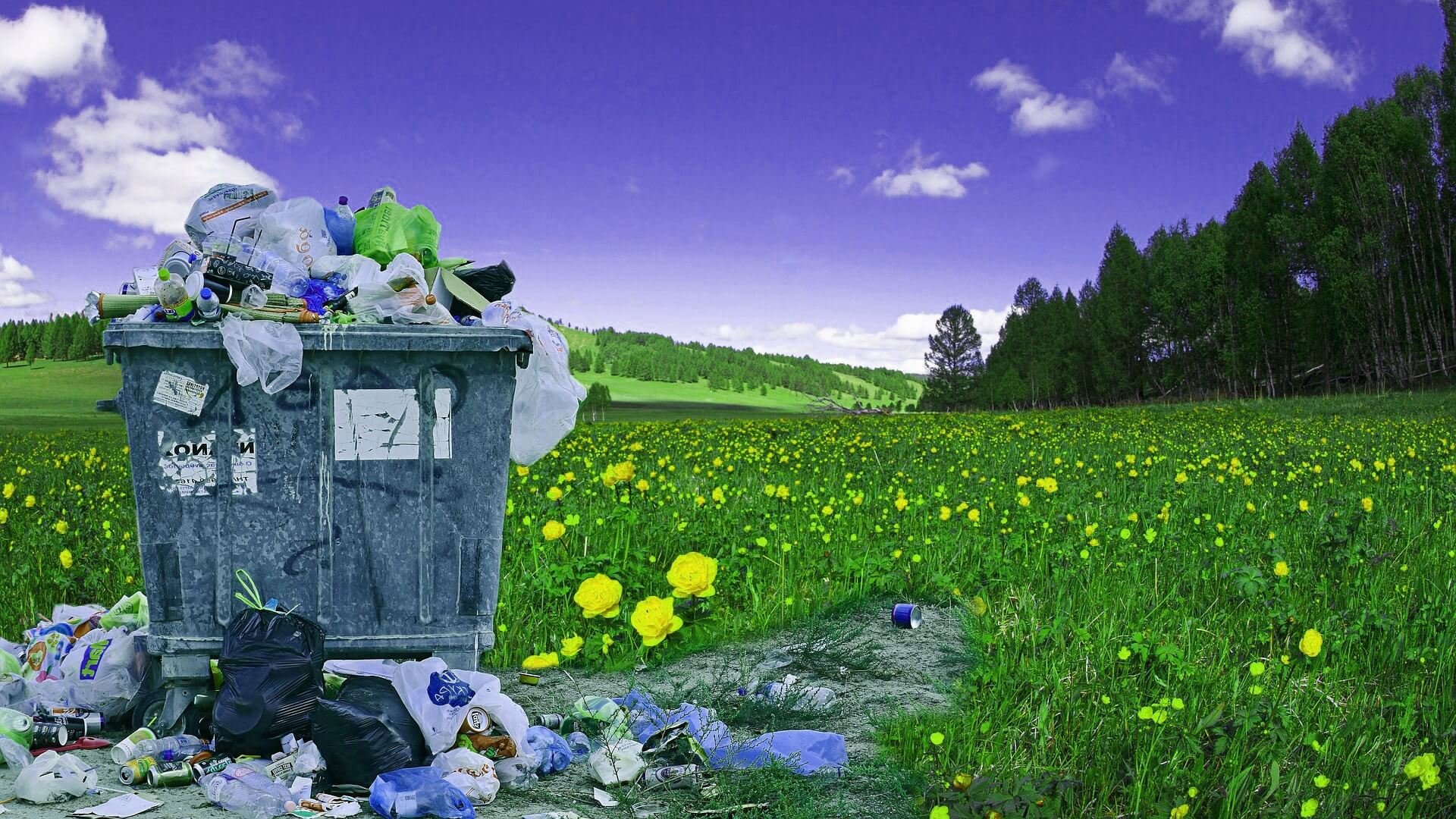 ÇEVRESEL ETKİ DEĞERLENDİRMESİ